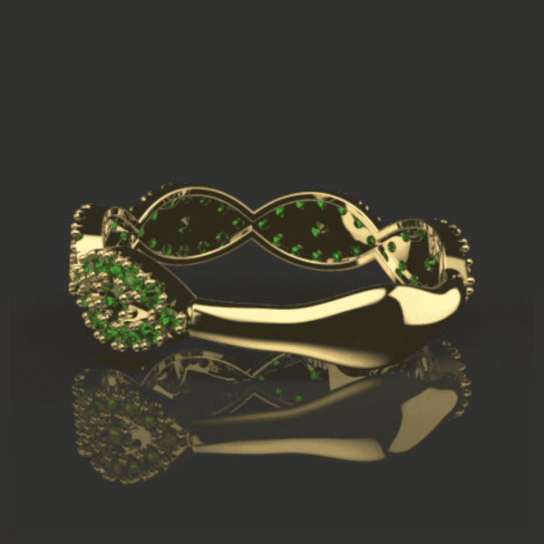 The Eternal Promise Ring